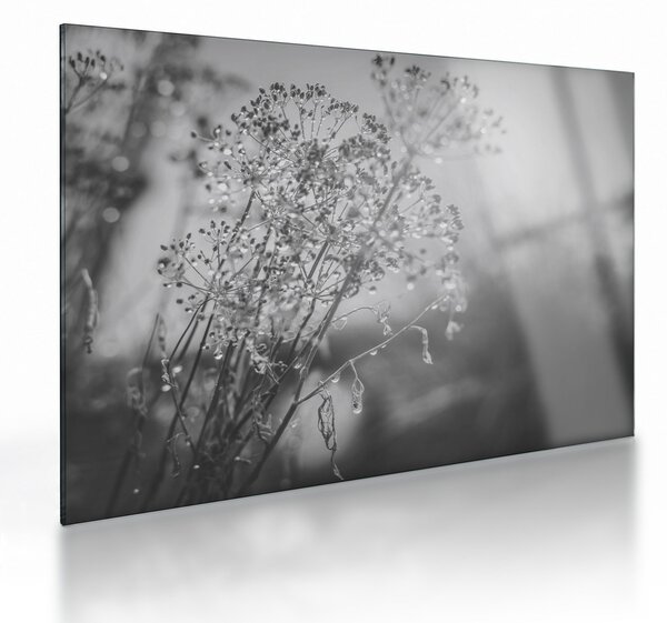Tablou pe sticlă - Pajiște după ploaie (70x50 cm)
