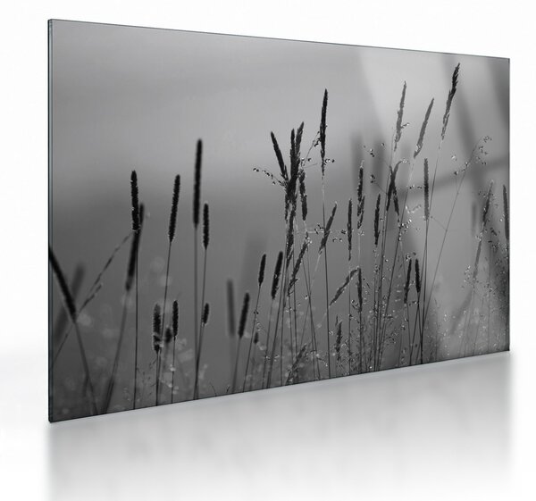 Tablou pe sticlă - Lamele de iarbă (70x50 cm)