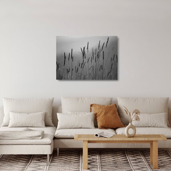 Tablou pe sticlă - Lamele de iarbă (70x50 cm)