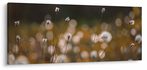Tablou - Pajiște cu iarbă de cozonac N⁰2 (120x50 cm)
