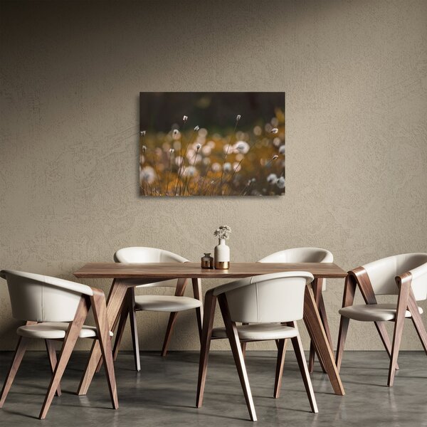 Tablou pe sticlă - Pajiște cu iarbă de cozonac N⁰2 (70x50 cm)