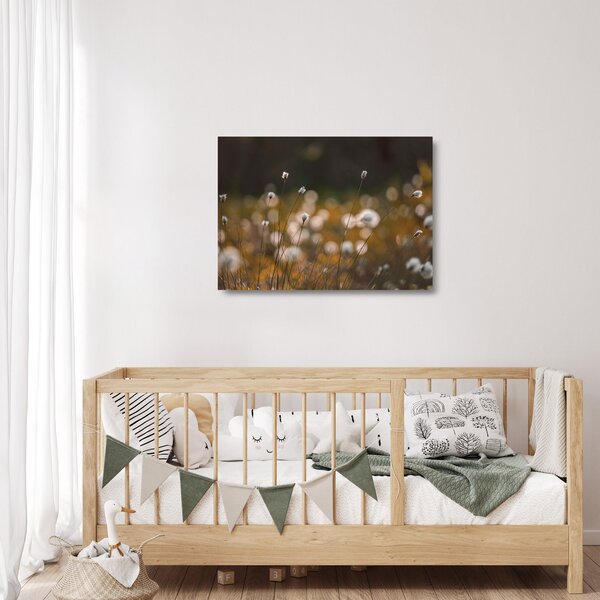 Tablou pe sticlă - Pajiște cu iarbă de cozonac N⁰2 (70x50 cm)