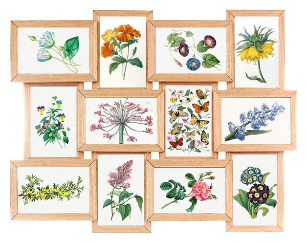 Multicadru pentru 12 fotografii FINES, 45 x 59 cm