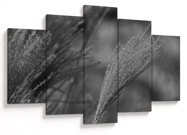 Tablou - Iarbă de pampas uscată (150x105 cm)