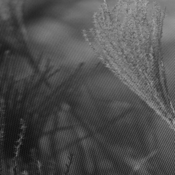 Tablou - Iarbă de pampas uscată (cu ceas) (90x30 cm)