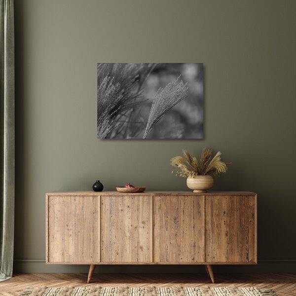 Tablou pe sticlă - Iarbă de pampas uscată (70x50 cm)
