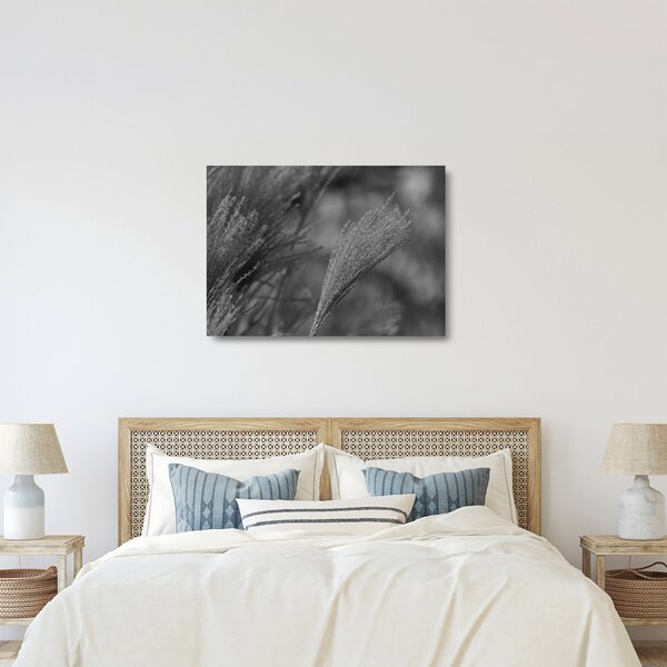 Tablou pe sticlă - Iarbă de pampas uscată (70x50 cm)