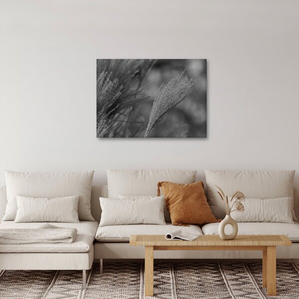 Tablou - Iarbă de pampas uscată (70x50 cm)