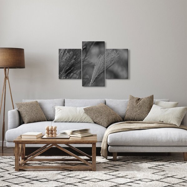 Tablou - Iarbă de pampas uscată (90x60 cm)