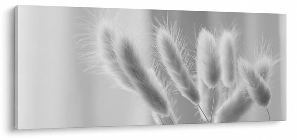 Tablou - Iarbă de coadă de iepure (120x50 cm)