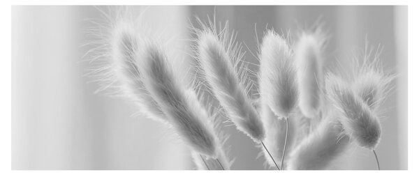 Tablou - Iarbă de coadă de iepure (120x50 cm)