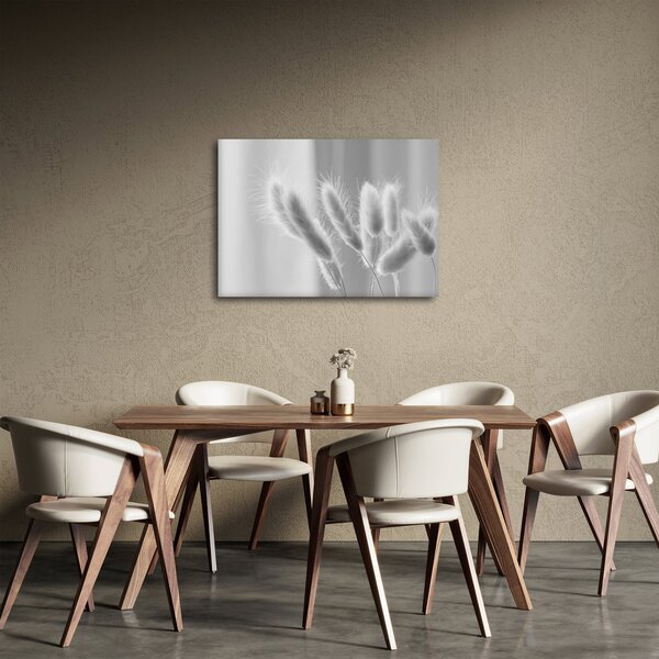 Tablou - Iarbă de coadă de iepure (70x50 cm)
