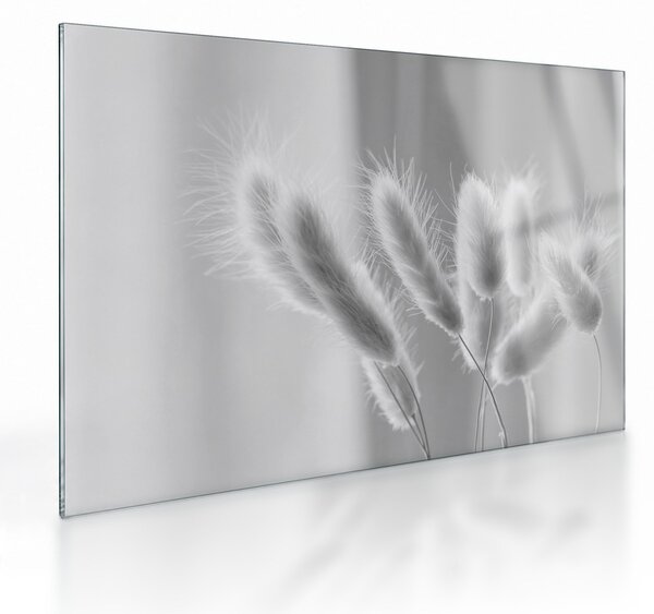 Tablou pe sticlă - Iarbă de coadă de iepure (70x50 cm)