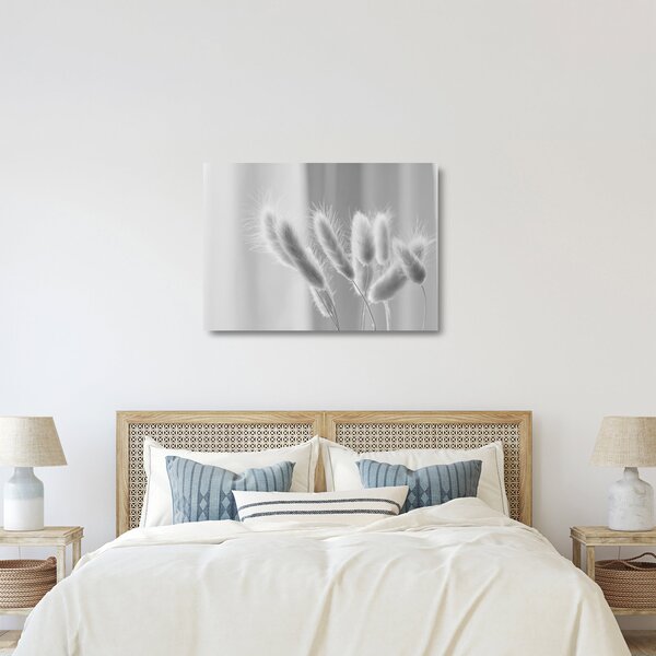 Tablou pe sticlă - Iarbă de coadă de iepure (70x50 cm)