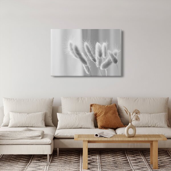 Tablou - Iarbă de coadă de iepure (90x60 cm)