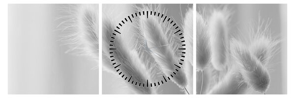 Tablou - Iarbă de coadă de iepure (cu ceas) (90x30 cm)