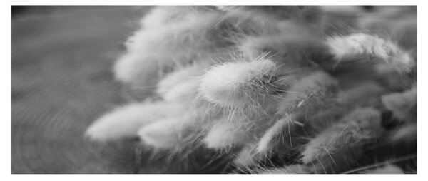 Tablou - iarbă de coadă de iepure pe masă (120x50 cm)