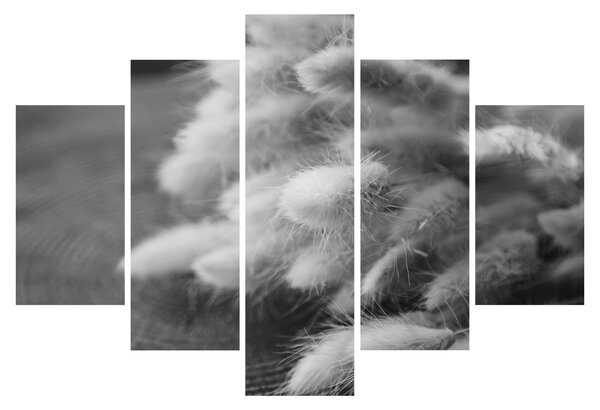 Tablou - iarbă de coadă de iepure pe masă (150x105 cm)