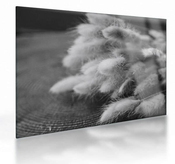 Tablou pe sticlă - iarbă de coadă de iepure pe masă (70x50 cm)