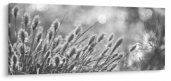 Tablou - Iarbă moale bej N⁰1 (120x50 cm)