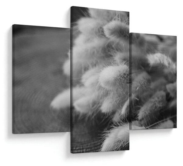 Tablou - iarbă de coadă de iepure pe masă (90x60 cm)