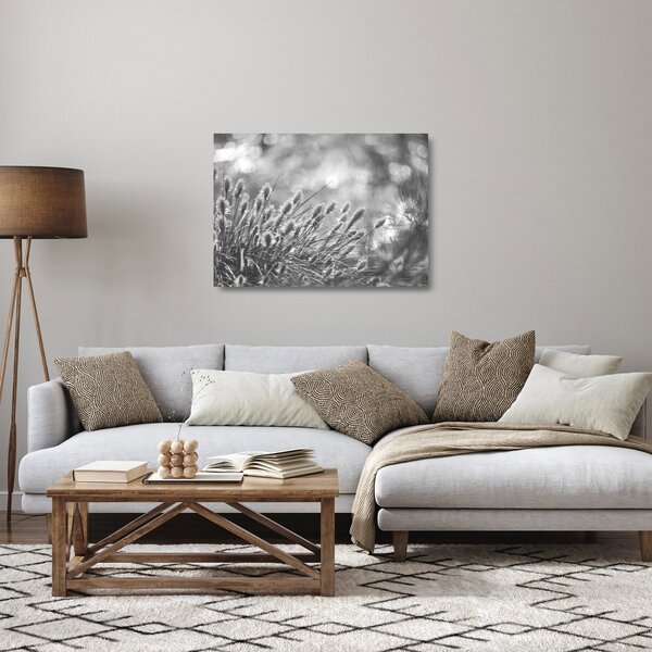 Tablou pe sticlă - Iarbă moale bej N⁰1 (70x50 cm)