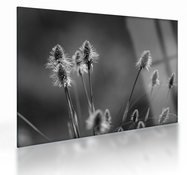Tablou pe sticlă - Iarbă moale bej N⁰2 (70x50 cm)