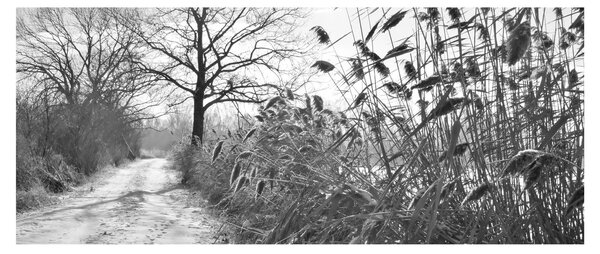 Tablou - Câmpuri în timpul iernii (120x50 cm)