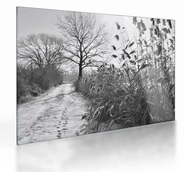 Tablou pe sticlă - Câmpuri în timpul iernii (70x50 cm)