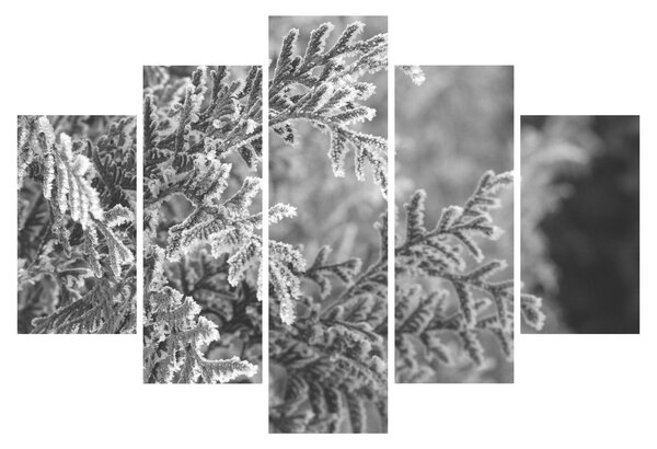 Tablou - Pădure de molid (150x105 cm)