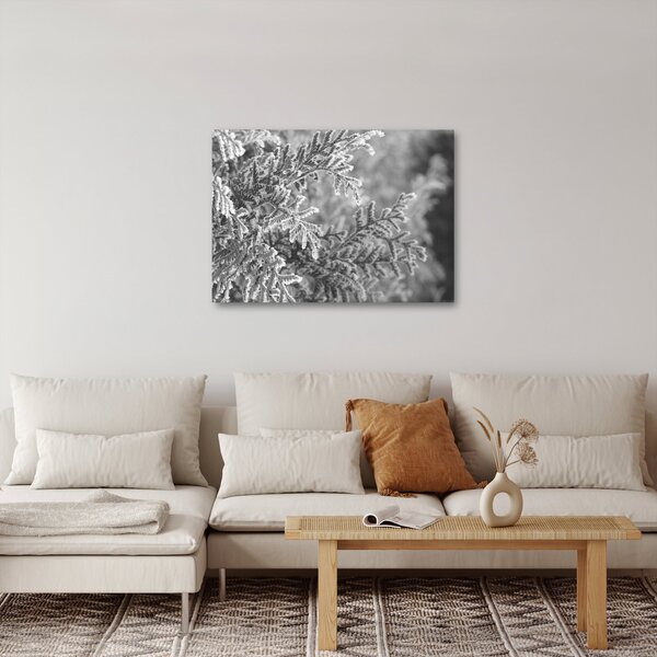 Tablou - Pădure de molid (70x50 cm)