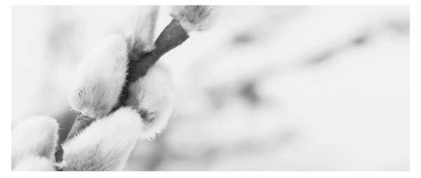 Tablou - Începutul primăverii (120x50 cm)