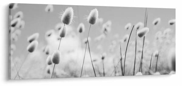 Tablou - Boho iepuraș coadă de iarbă (120x50 cm)