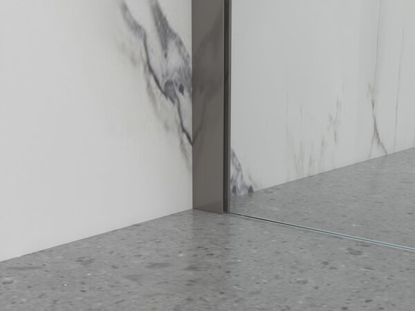Erga Paris, Paravan de duș walk-in 50x200 cm, sticlă transparentă de 8 mm, profil grafit, ERG-V02-PARIS-050x200-CL-GG