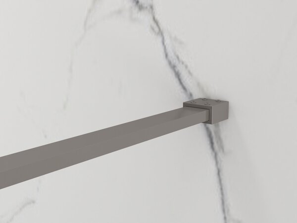 Erga Paris, Paravan de duș walk-in 50x200 cm, sticlă transparentă de 8 mm, profil grafit, ERG-V02-PARIS-050x200-CL-GG
