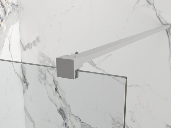 Erga Paris, Paravan de duș walk-in 50x200 cm, sticlă transparentă 8mm, oțel periat, ERG-V02-PARIS-050x200-CL-BS