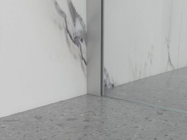 Erga Paris, Paravan de duș walk-in 50x200 cm, sticlă transparentă 8mm, oțel periat, ERG-V02-PARIS-050x200-CL-BS