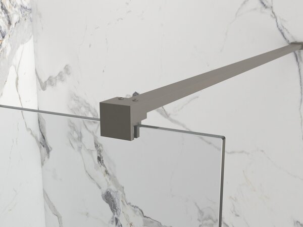 Erga Paris, Paravan de duș walk-in 50x200 cm, sticlă transparentă de 8 mm, profil grafit, ERG-V02-PARIS-050x200-CL-GG