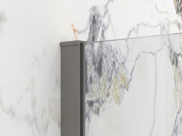 Erga Paris, Paravan de duș walk-in 50x200 cm, sticlă transparentă de 8 mm, profil grafit, ERG-V02-PARIS-050x200-CL-GG