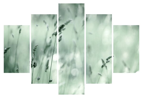 Tablou - Pajiște verde (150x105 cm)