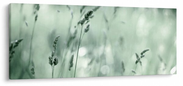 Tablou - Pajiște verde (120x50 cm)