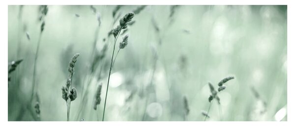 Tablou - Pajiște verde (120x50 cm)