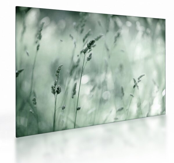 Tablou pe sticlă - Pajiște verde (70x50 cm)
