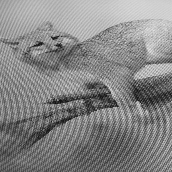 Tablou - Vulpe gri (cu ceas) (90x30 cm)