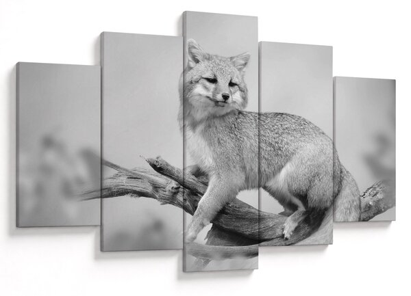 Tablou - Vulpe gri (150x105 cm)
