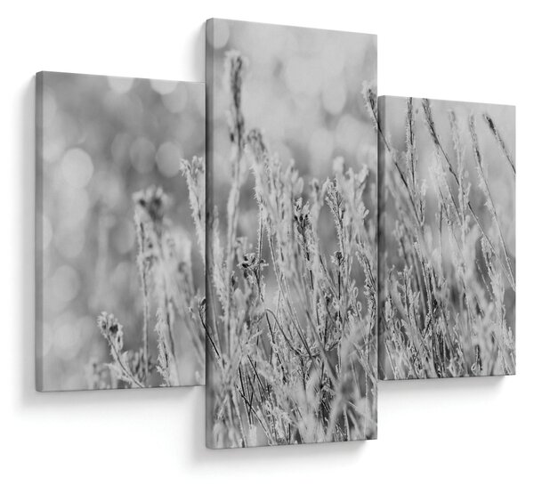 Tablou - Iarna rece (90x60 cm)