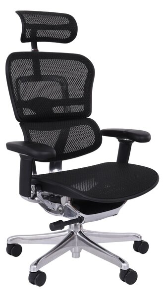 Scaun de birou Ergohuman 2 Elite BS Black