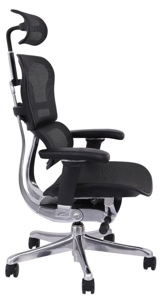 Scaun de birou Ergohuman 2 Elite BS Black