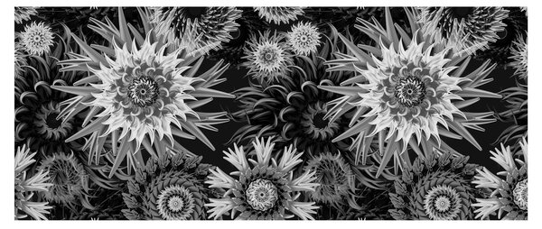 Tablou - Ciulini negri și albi (120x50 cm)
