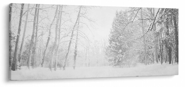 Tablou - Pier de lemn în timpul iernii (120x50 cm)